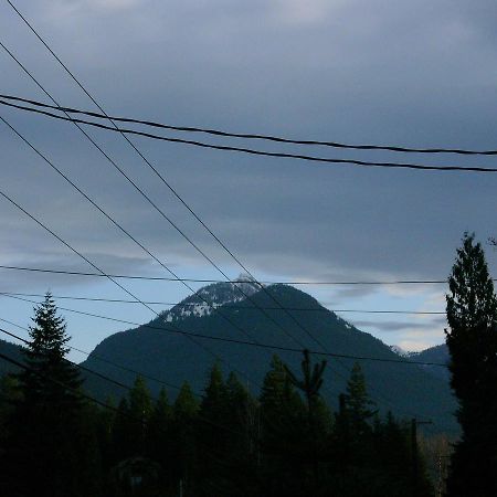 Mountain View Lodge - No Pets Allowed Packwood Εξωτερικό φωτογραφία