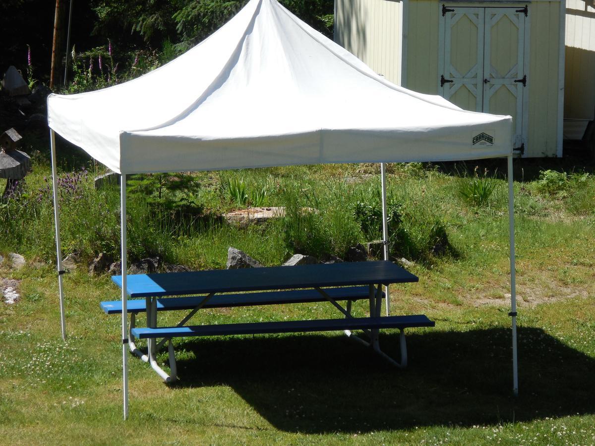 Mountain View Lodge - No Pets Allowed Packwood Εξωτερικό φωτογραφία