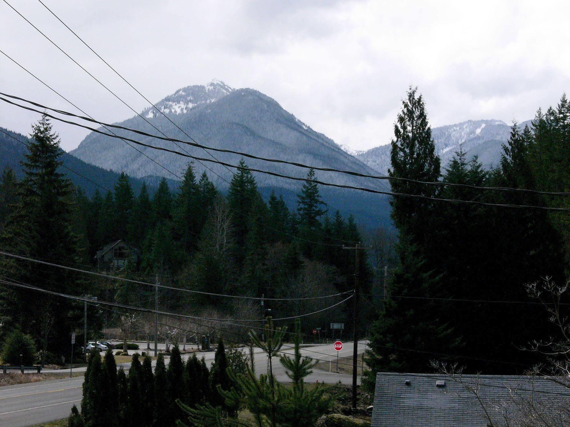 Mountain View Lodge - No Pets Allowed Packwood Εξωτερικό φωτογραφία