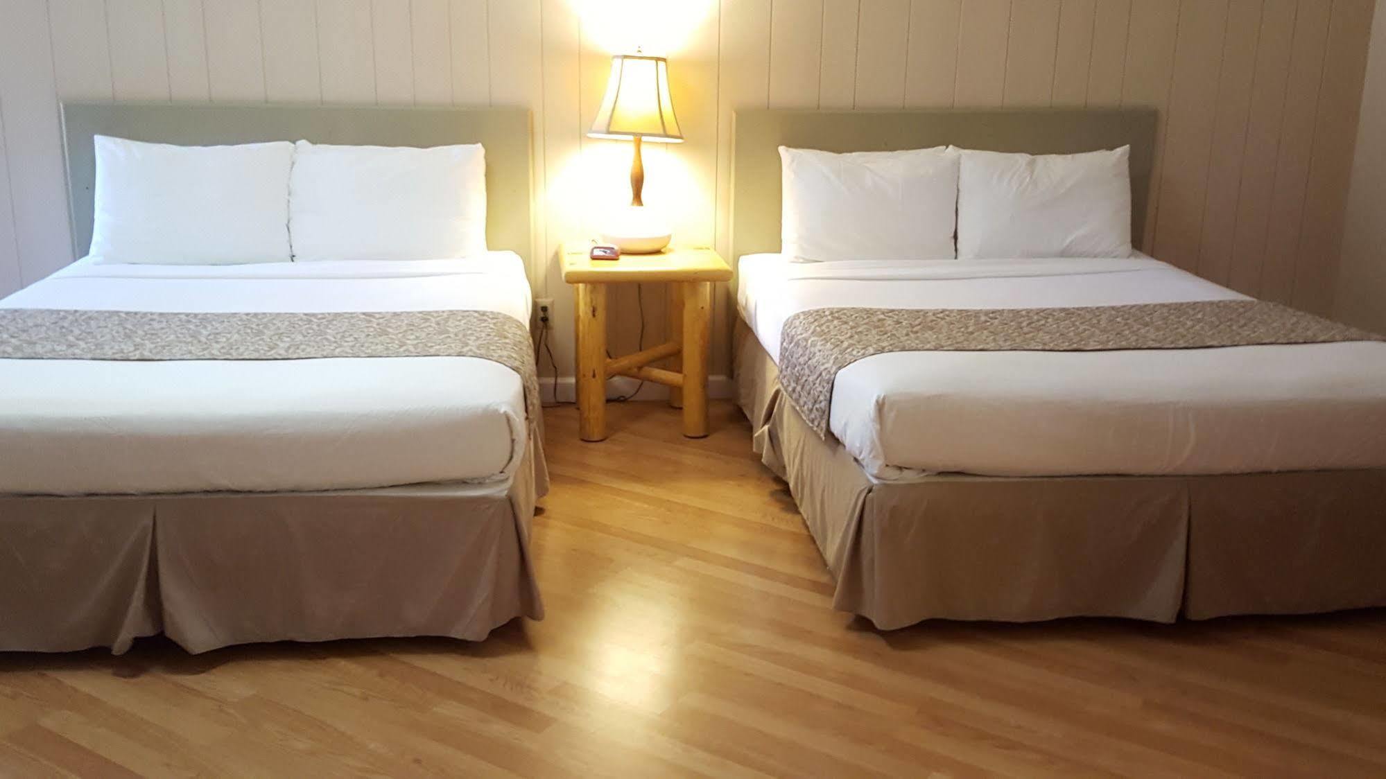 Mountain View Lodge - No Pets Allowed Packwood Εξωτερικό φωτογραφία